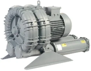 ts1